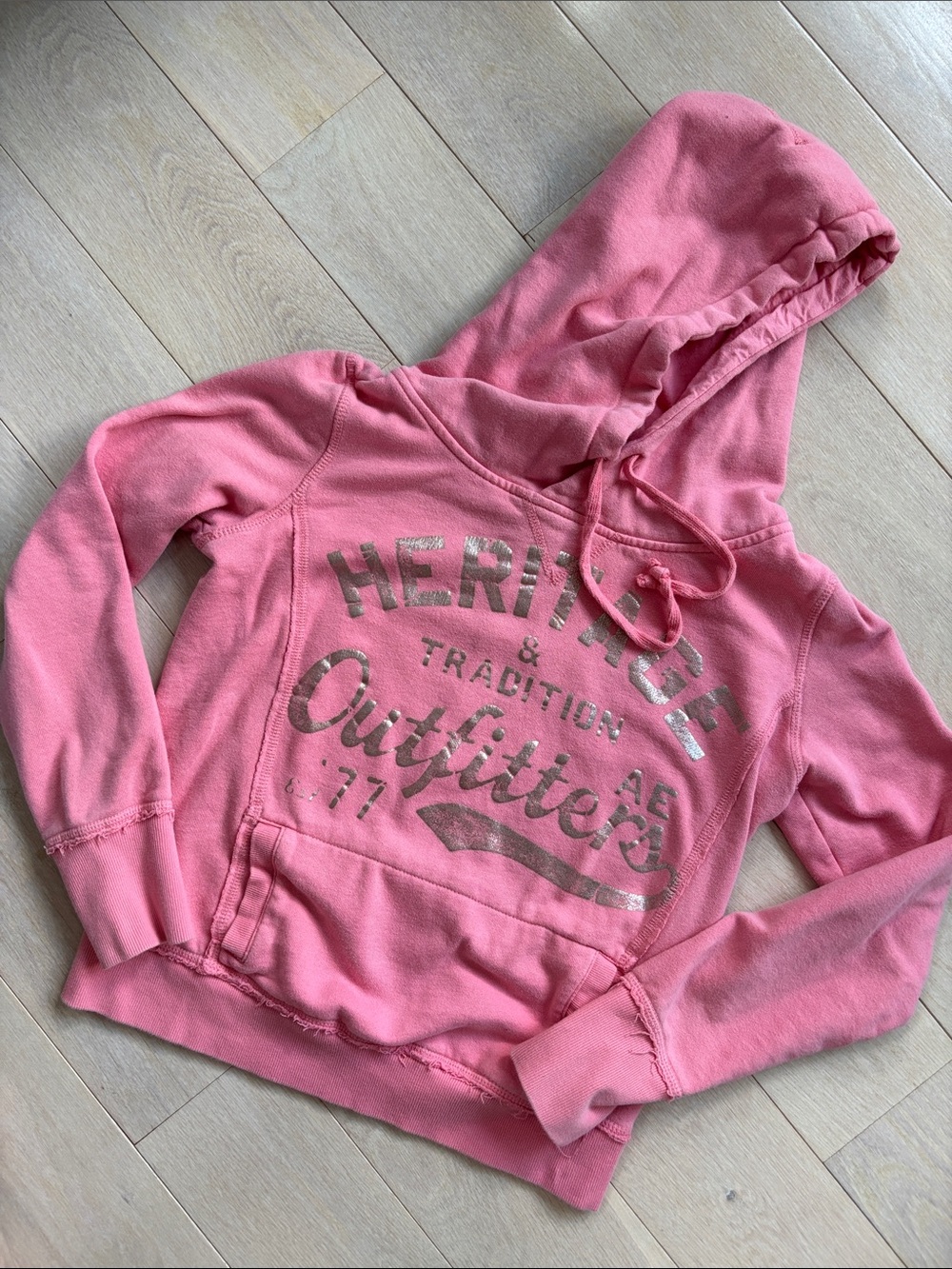 American Eagle Outfitters Pink Hooded Sweatshirt with Metallic Logo